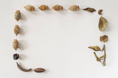 Sonbahar kompozisyonu. Pastel gri arka planda yapraklardan yapılmış bir çerçeve. Sonbahar, sonbahar konsepti. Düz konum, üst görünüm, kopyalama alanı