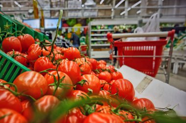 Raftaki taze kırmızı domatesleri satışa hazır hale getirin. Lezzetli taze kırmızı markette bekliyor. Bir grup domates. Sepet arabası arkaplanı.