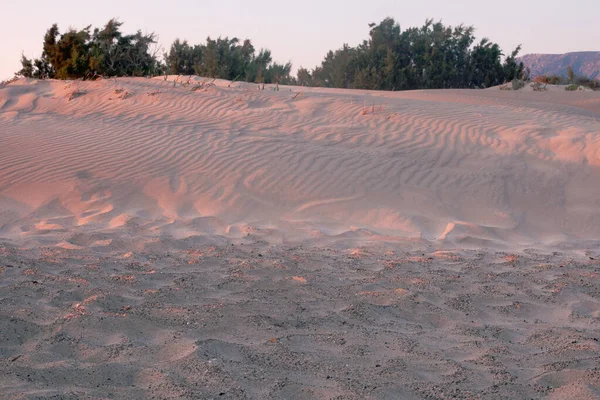 Песчаные Дюны Вершине Дюн Рассвете Меските Греция Элаф — стоковое фото