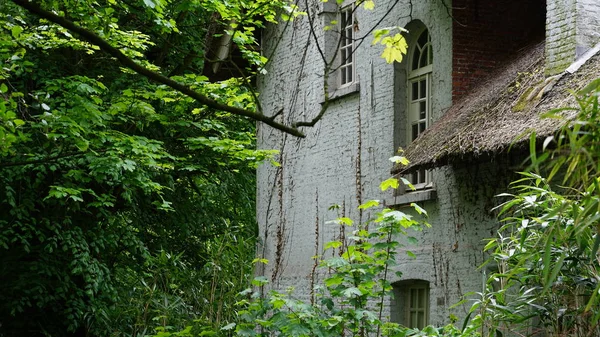 Haus im Wald — Stockfoto