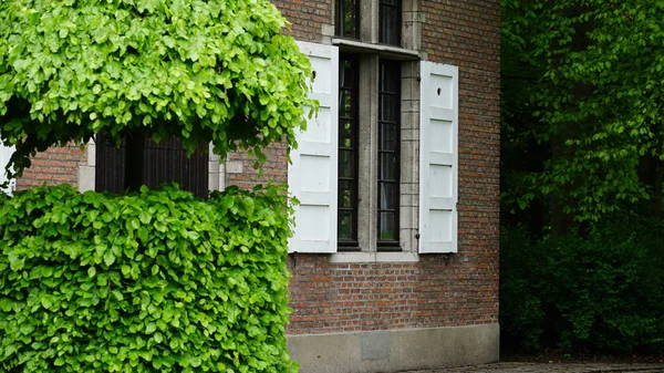 Hus i Antwerpen - Stock-foto