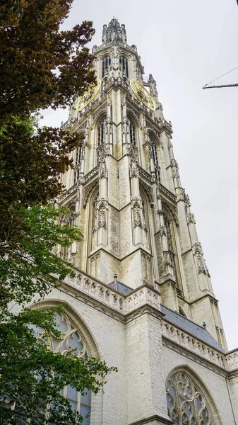 Domkyrkan tornet — Stockfoto