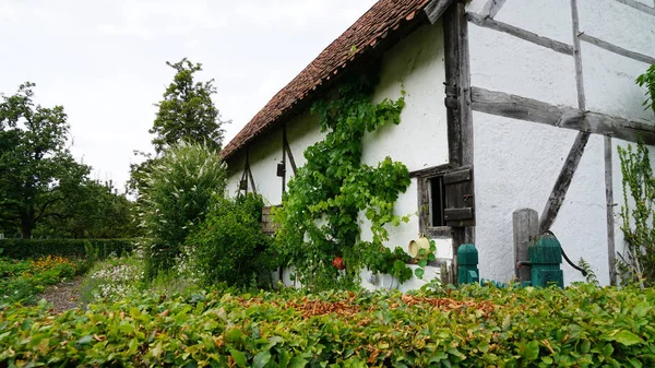 Старий будинок з садом — стокове фото