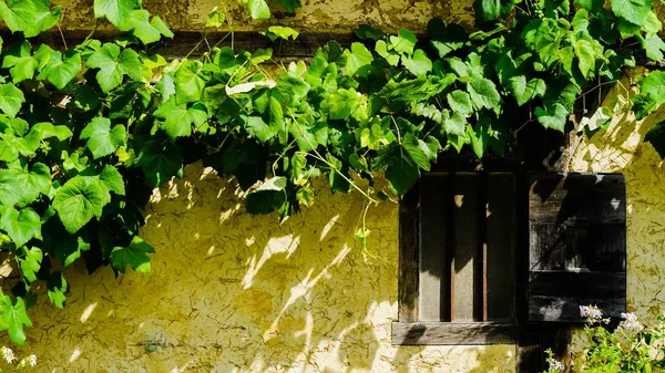 Old farmhouse at the country — Stock Photo, Image