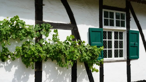 Facade of an old farmhouse — Stock Photo, Image