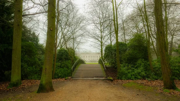 Einem Park Antwerpen Belgien — Stockfoto