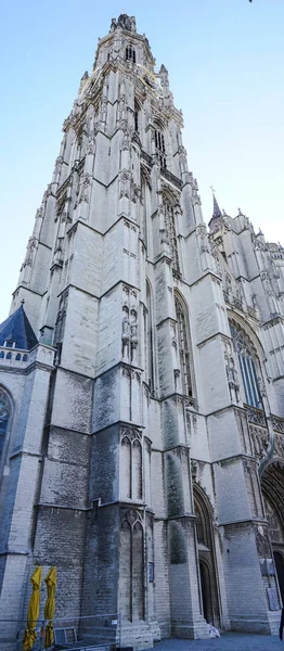 大教堂在安特卫普 比利时 — 图库照片