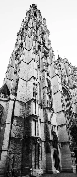 Tornet Till Katedralen Antwerpen Belgien — Stockfoto