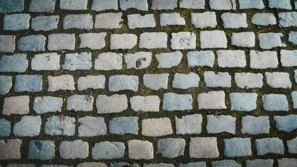 Cobblestones Street Antwerp Belgium — Stock Photo, Image