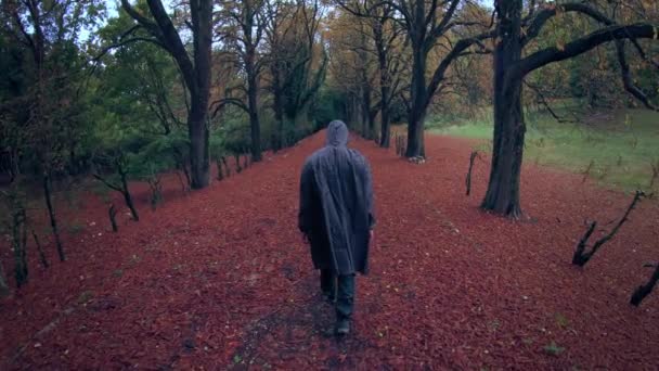 Uomo incappucciato figura a piedi nella foresta scura foglie rosse autunno autunno buio umore inquietante disperazione solitudine depressione concetto — Video Stock