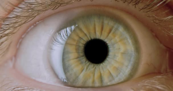 Dolly Shot Extreme Close Up Male Green Yellow Eye Atractiva belleza humana Natural cámara lenta 8k — Vídeos de Stock