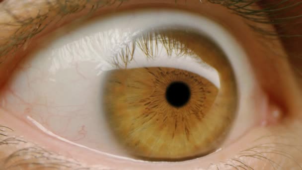 极近跟踪镜头射中男性棕色眼睛美丽的人类美丽的自然慢动作8k — 图库视频影像