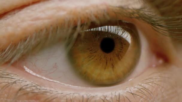 Dolly Shot Extreme Zbliżenie Mężczyzna Brązowe Oko Tajemnicze Ludzkie Piękno Moda Powolny Ruch 8k — Wideo stockowe