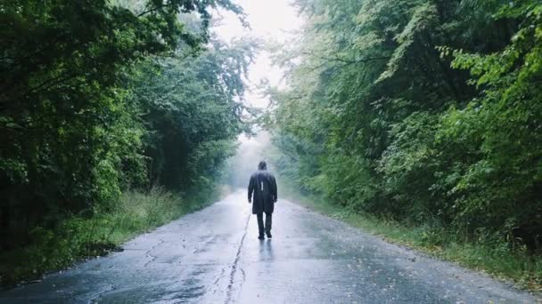 Sylwetka smutnego człowieka mijając koryta Mglisty las Ścieżka o zmierzchu Odległość społeczna Wędrówki Styl życia Slow Motion Drone — Wideo stockowe