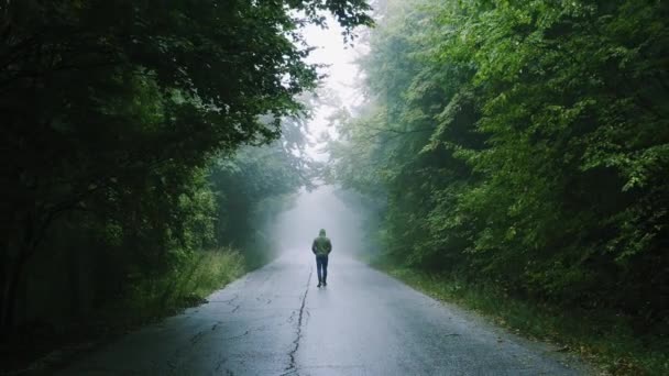 Silhuett av Sad Man vandrar på vägen med träd i de dimmiga bergen ensamhet Backpacking Slow Motion Drönare — Stockvideo