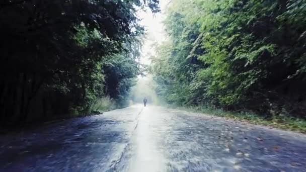 Durch verlassene Pfade mit Bäumen in den nebligen Bergen fliegen Einsamkeit Backpacking Slow Motion Drohne — Stockvideo