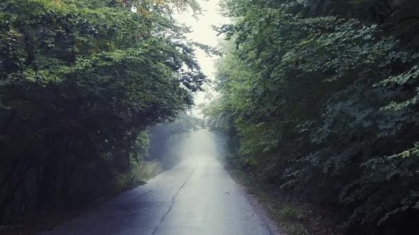 Volare attraverso il sentiero di montagna nebbia con alberi solitudine depressione ricerca di illuminazione verità lento movimento drone — Video Stock