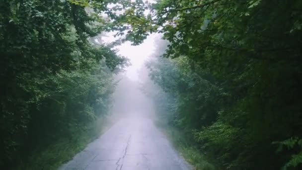 Vznášející se nad mlhou Opuštěné horské stezky pohybující se směrem ke světlu během deštivého dne Mládež deprese život cesta společenská vzdálenost pomalý pohyb 8 K — Stock video