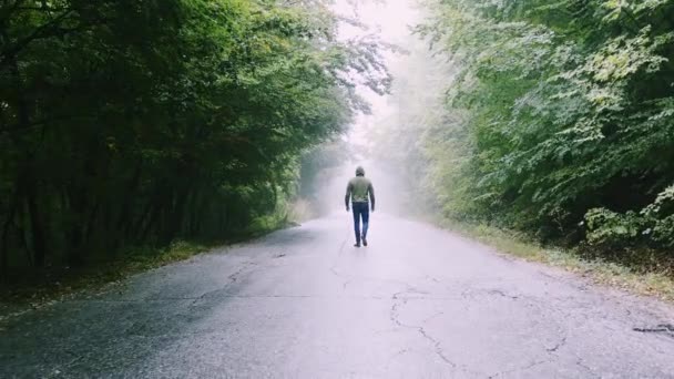 Ung deprimerad man vandrar på vägen med träd i skymningen ensamhet vandring livsstil långsam rörelse drönare — Stockvideo