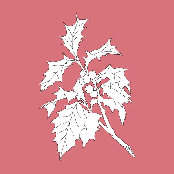 Kırmızı zemin üzerinde tek renkli Holly dalı (Ilex aquifolium). — Stok Vektör