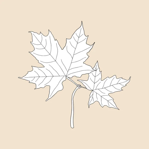 茶色の背景にカエデの葉. — ストックベクタ