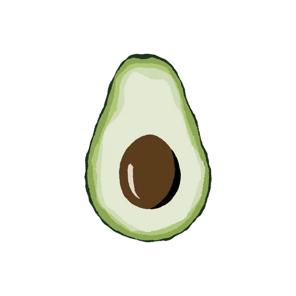 Met de hand getrokken avocado half. — Stockvector