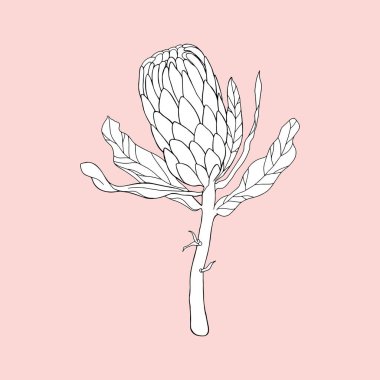 Tek renkli arka planda Protein. 