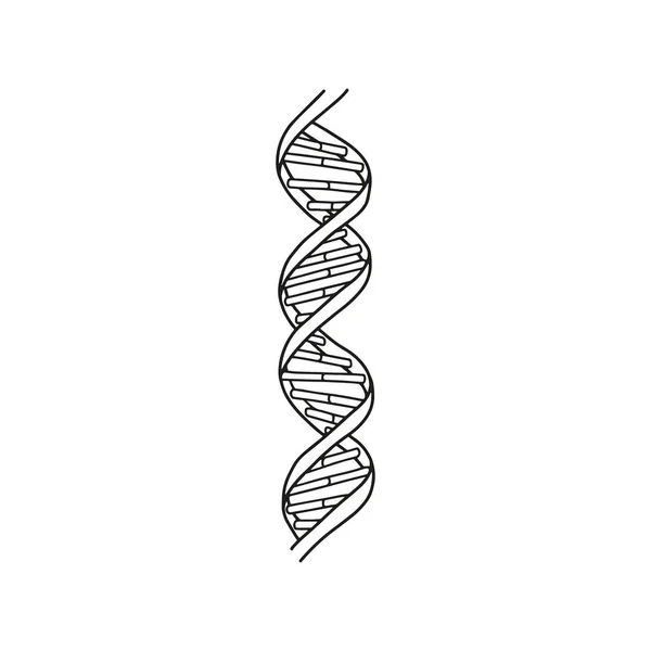 Vecteur Icône Adn Symbole Gène Biologie Vectorielle Mode Pour Conception — Image vectorielle