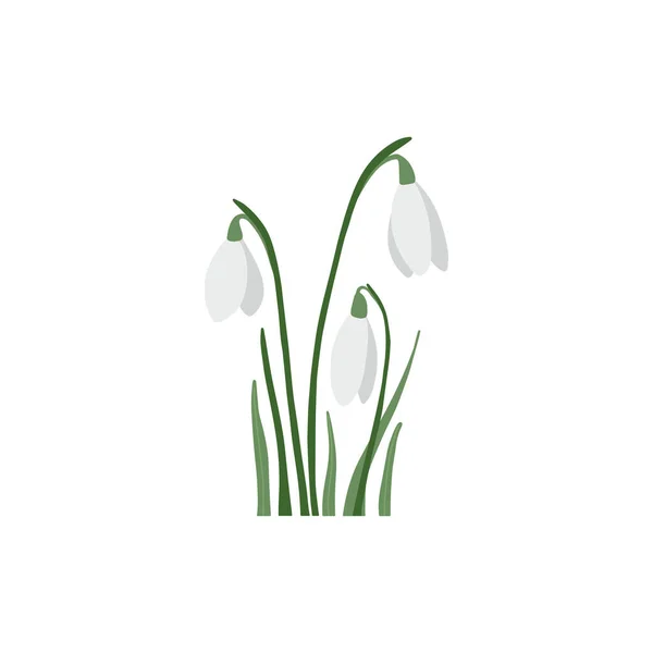 Hand Drawn Snowdrops Vector Illustration Creating Spring Designs Coloring Books — Stock Vector