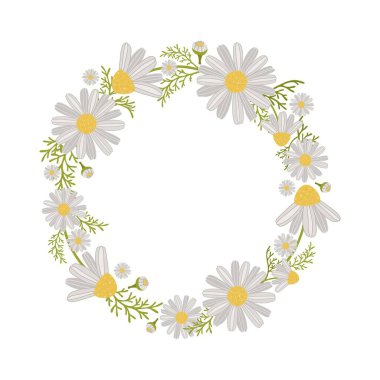 Papatya çelengi: çiçekler, yapraklar, tomurcuklar. Çiçek dokusu davetiyeler, tebrik kartı, kumaş, ambalaj kağıdı ve diğer baskılar için mükemmel..