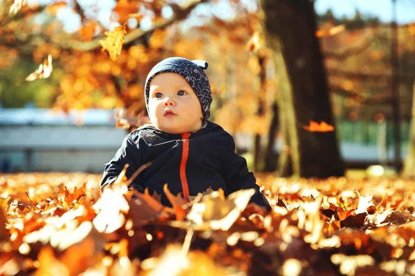 黄色的树叶秋天公园可爱的小婴儿. — 图库照片