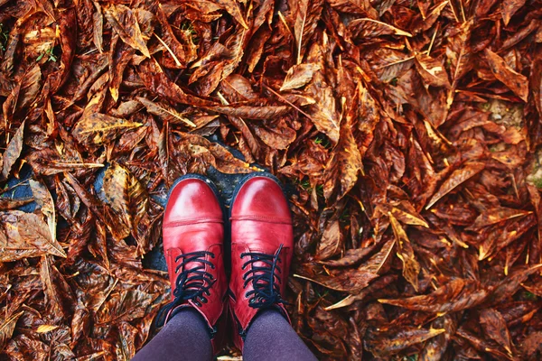 Upadek, jesień, liście, nogi i czerwone buty. — Zdjęcie stockowe