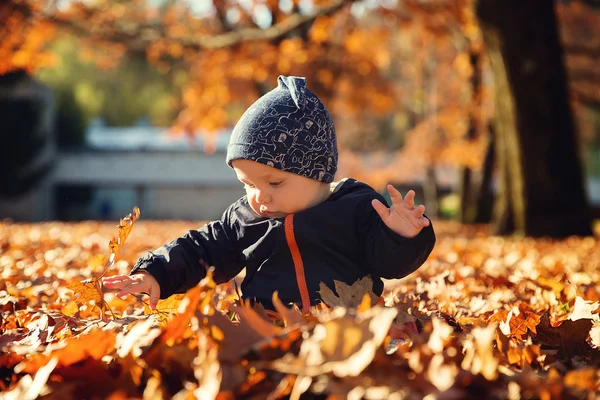 Очаровательный маленький ребенок в осеннем парке с желтыми листьями . — стоковое фото