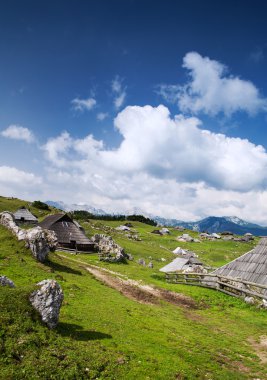 Velika Planina veya büyük mera Yaylası, Slovenya.