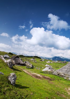 Velika Planina or Big Pasture Plateau, Slovenia. clipart