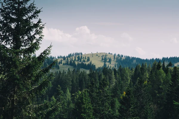 Вид на Великую Планину или Большие Пастбища Плато, Словенья . — стоковое фото