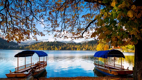 Tradiční dřevěné lodě na jezeře bled, Slovinsko. — Stock fotografie