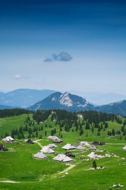 Velika Planina veya büyük mera Yaylası, Slovenya.