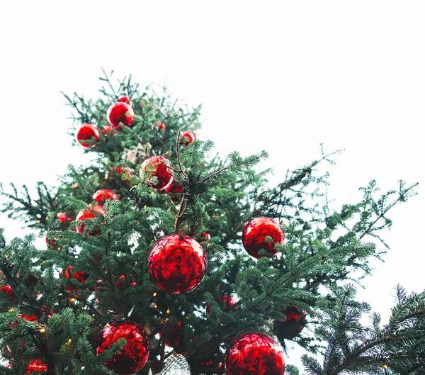 Christmas red balls hanging on a Christmas tree. — Stock Photo, Image