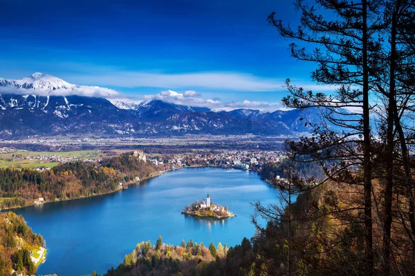 Erstaunliche blutete See, Slowenien, Europa — Stockfoto