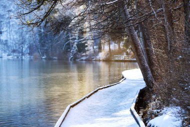 Kış, Bled, Slovenya, Avrupa'nın Lake Bled.