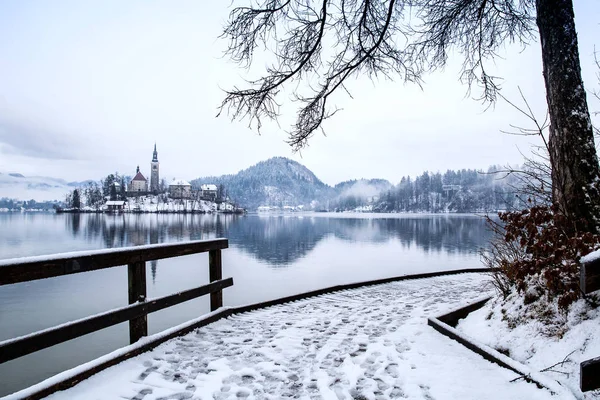 Bledsjön i vinter, Bled, Slovenien, Europa. — Stockfoto