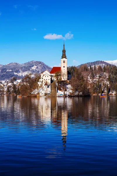 Jezero Bled v zimě, Bled, Slovinsko, Evropa. — Stock fotografie