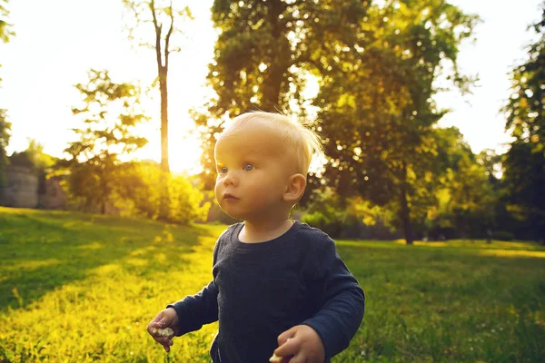 Μικρό αγόρι περίπατο στο πάρκο άνοιξη στιγμή στο ηλιοβασίλεμα — Φωτογραφία Αρχείου