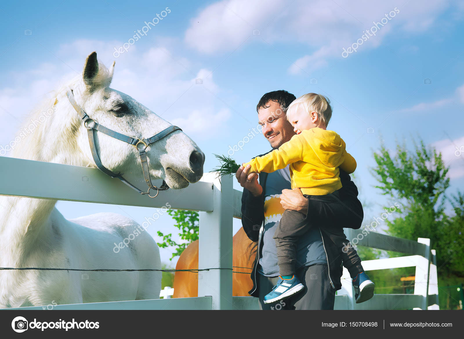 отец сын конь. папа лошадка. отец сын конь. отец с сыном на коне. два человека на лошади.