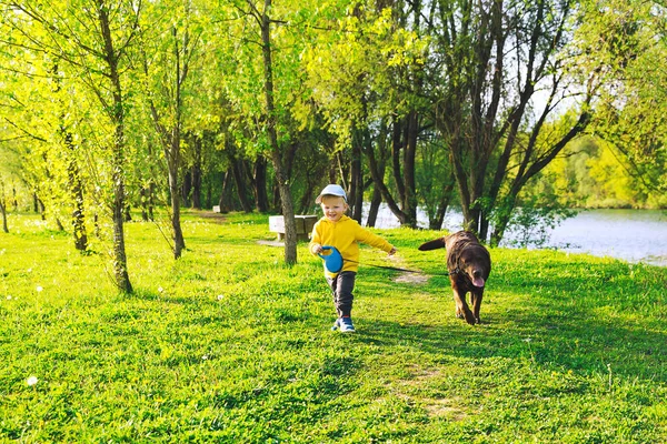 Niño feliz con su perro en el campo en primavera . — Foto de Stock