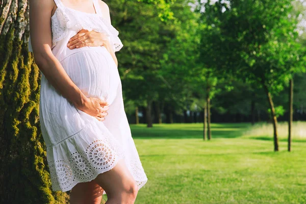 Primer plano de la barriga embarazada en la naturaleza — Foto de Stock