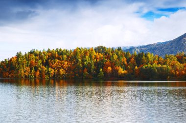 Ekim ayında göl sonbahar sahne. 
