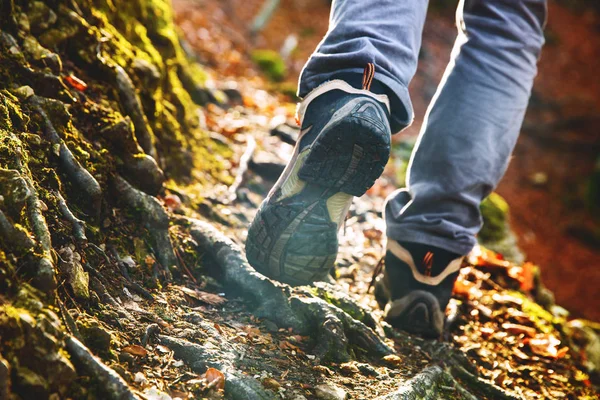 徒步旅行者在森林步道上的靴子。秋天的徒步旅行. — 图库照片