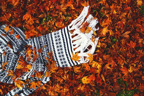 Ein schwarzer weißer Schal liegt in den fallenden Blättern. — Stockfoto